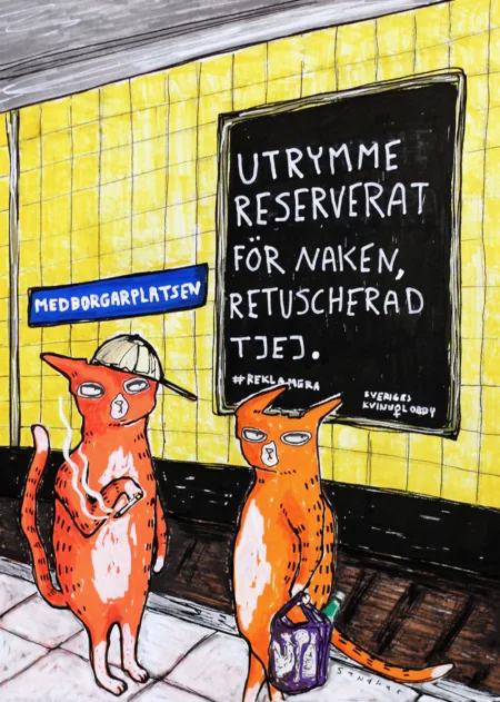 2014 cat illustration