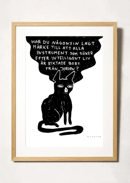 intelligent liv cat illustration